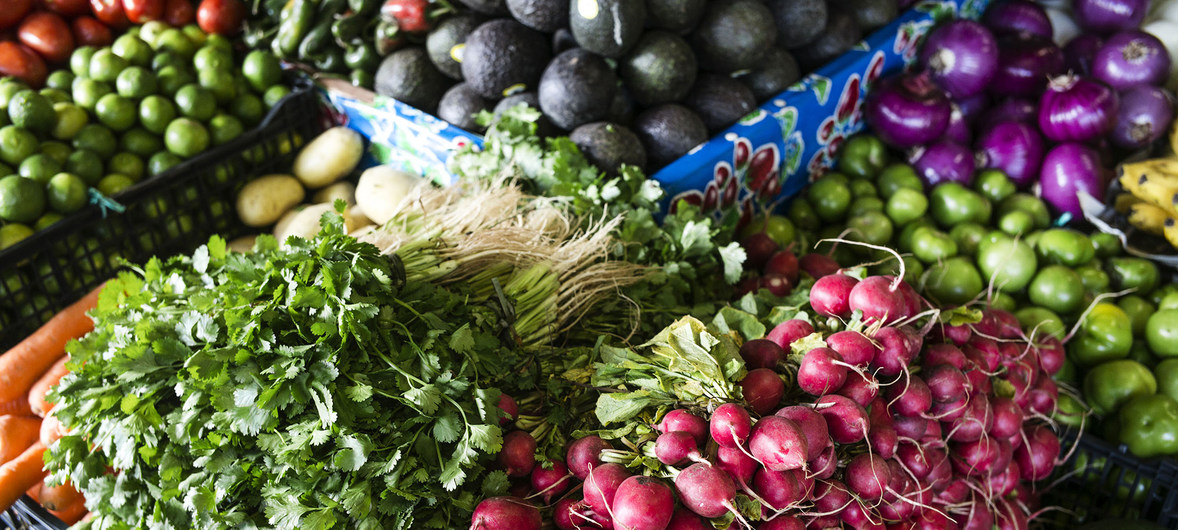 América Latina representa el 20% del desperdicio de comida en el mundo