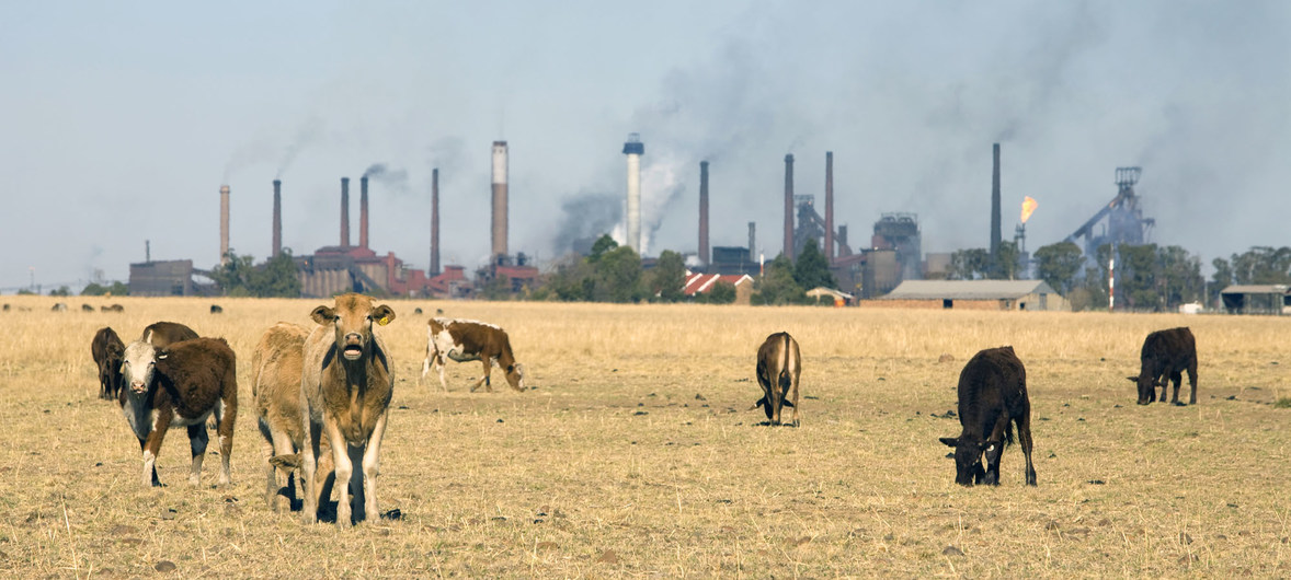 Llegar a cero emisiones netas de carbono para 2050, ¿es posible?